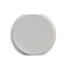 Replacement for iPad Air Home Button - White