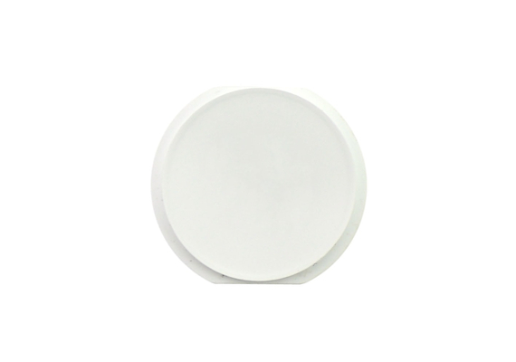 Replacement for iPad Mini Home Button White