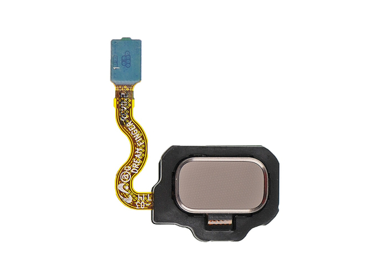 Replacement for Samsung Galaxy S8/S8 Plus Home Button Flex Cable - Gold